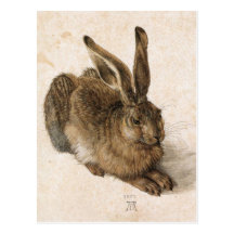 Albrecht Dürer - Junger Hase (junger Hase), 1502 Postkarten