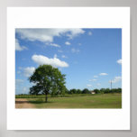 Alleiner Baum Plakatdrucke