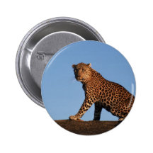 Alleiner Leopard Anstecknadel