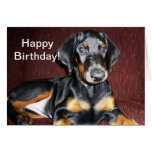 Alles Gute zum Geburtstag - Dobermannpinscher-Welp Karte