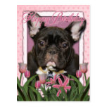 Alles Gute zum Geburtstag - französische Bulldogge Postkarten