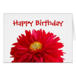 Alles Gute zum Geburtstag Grußkarte