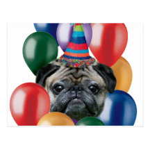 Alles Gute zum Geburtstag Mopshund Postkarte