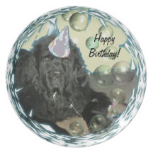 Alles Gute zum Geburtstag!  Neufundland-Hundeplatt Flacher Teller