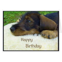 Alles Gute zum Geburtstag, niedlicher Dackelwelpe Karten