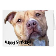 Alles Gute zum Geburtstag Pitbull Grußkarte