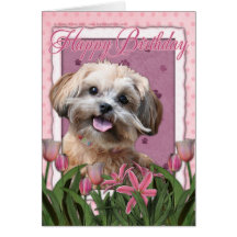 Alles Gute zum Geburtstag - ShihPoo - Maggie Grußkarten