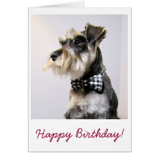 40.000+ Schnauzer Geschenke Zazzle