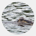 Alligatoren Runder Sticker
