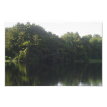 Alligatorsee Kunstfoto
