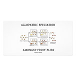Allopatric Speciation unter Frucht-Fliegen Fotokartenvorlagen