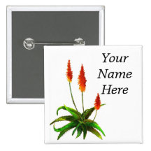 Aloe-Aquarell-Namensschild Anstecknadelbuttons