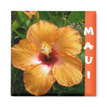 Aloha, Hawaii Hibiscus magnete