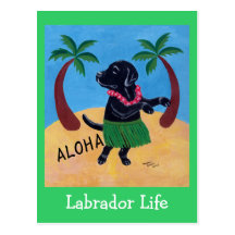 Aloha schwarzes Labrador Postkarten