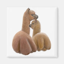 Alpaka-Liebe-Magnet
