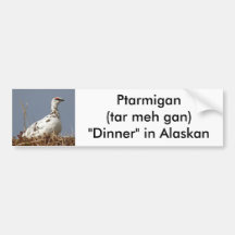 Alpenschneehuhn im Vorfrühling Auto Sticker