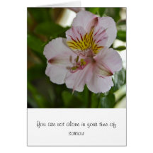 Alstroemeria-Blumen-Beileid-Karte