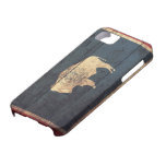 Alte hölzerne Wyoming-Flagge iPhone 5 Etui