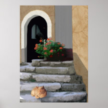 Alte Treppe mit Pflanze und Katze Plakatdrucke