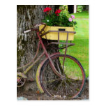 Altes antikes Fahrrad mit Blumen-Korb Postkarte