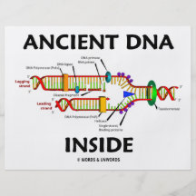 Altes DNA-Innere (DNA-Reproduktions-Spaß) Flyerdruck