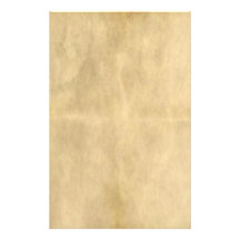 altes Pergament Bedrucktes Büropapier