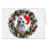 Am Weihnachten - Bichon Frise Karten