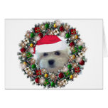 Am Weihnachten - Havanese Karten