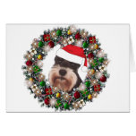 Am Weihnachten - Zwergschnauzer Grußkarten