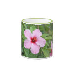 Amarylis Blumenbecher Tasse