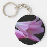 Amaryllis-Blume und seine Bedeutung Schlüsselbänder
