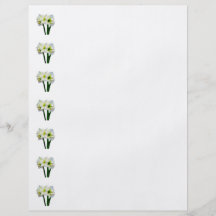 Amaryllis-grüne Prinzessin Flyerdruck