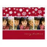 Amaryllis-Schneeflocken:: Weihnachtsfoto-Postkarte