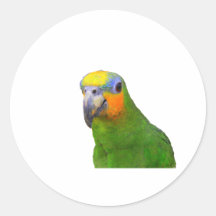 Amazonas-Papagei Runder Sticker