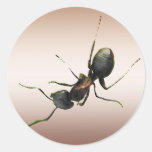 Ameise Runde Sticker