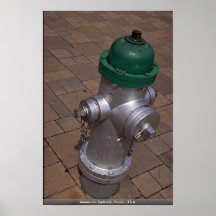 Americana (Hydrant), Florida, USA Posterdruck