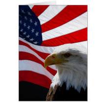 Amerikaner Eagle u. wellenartig bewegende Flaggen-