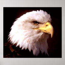 Amerikaner-Eagle-Weißkopfseeadler-Plakat-Druck
