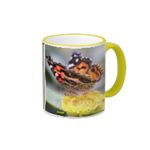 Amerikaner gemalte Dame Butterfly Lifecycle Coffee Teetasse