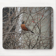 Amerikaner Robin Mousepads