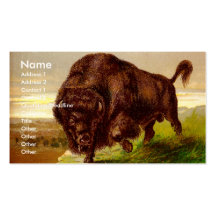 Amerikanischer Bison Visitenkartenvorlage