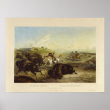 Amerikanischer Ureinwohner, der den Bison durch Ka Plakatdrucke