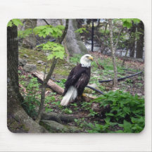 Amerikanischer Weißkopfseeadler Mousepads