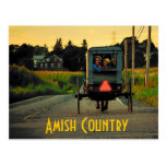 Amische Land-Postkarte