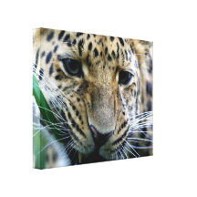 Amur-Leopard-Leinwand-Druck Galerie Faltleinwand