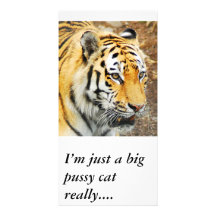 Amur-Tiger, bin ich gerade eine große Pussykatze w Photo Grußkarte