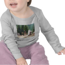 Anatolischer Schäfer-Hund - Ephesus, die Türkei Tshirt