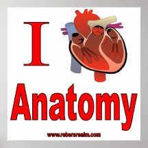 Anatomie der Liebe I Plakate