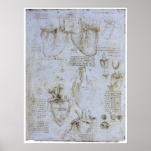 Anatomie des menschlichen Herzens, Leonardo da Vin Posterdrucke