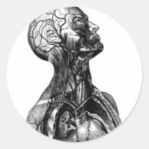 Anatomie-Fehlschlag Aufkleber